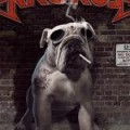 Krokus - Free Download der neuen Single