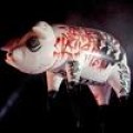 Roger Waters - Aufruhr um Davidstern-Schwein
