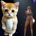 American Music Awards - Pferde-GaGa und Katzen-Miley