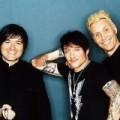 Die Ärzte - Auf Tour, im Stream und in der Box