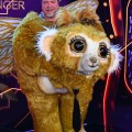 The Masked Singer - Die Finalist*innen stehen fest