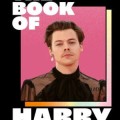 Buchkritik - Ch. McLaren - "Das große Harry-Styles-Fanbuch"