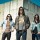 The Whigs
