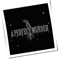 A Perfect Murder