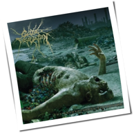 Cattle Decapitation