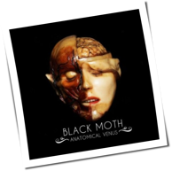 Black Moth